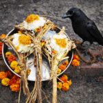 PHOTO-2026-02-01-16-20-19