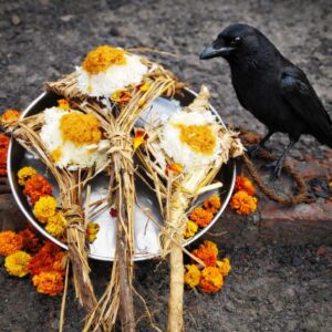 PHOTO-2026-02-01-16-20-19