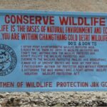 lehwildlife