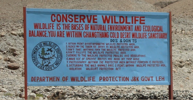 lehwildlife