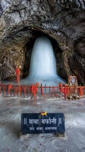 images (38) (1)