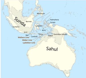 sahul